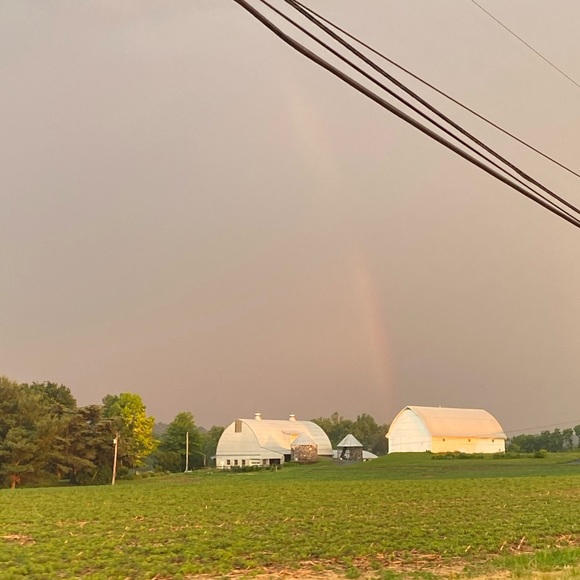 Meet your Posher, Avrie - Picture 1 of 1